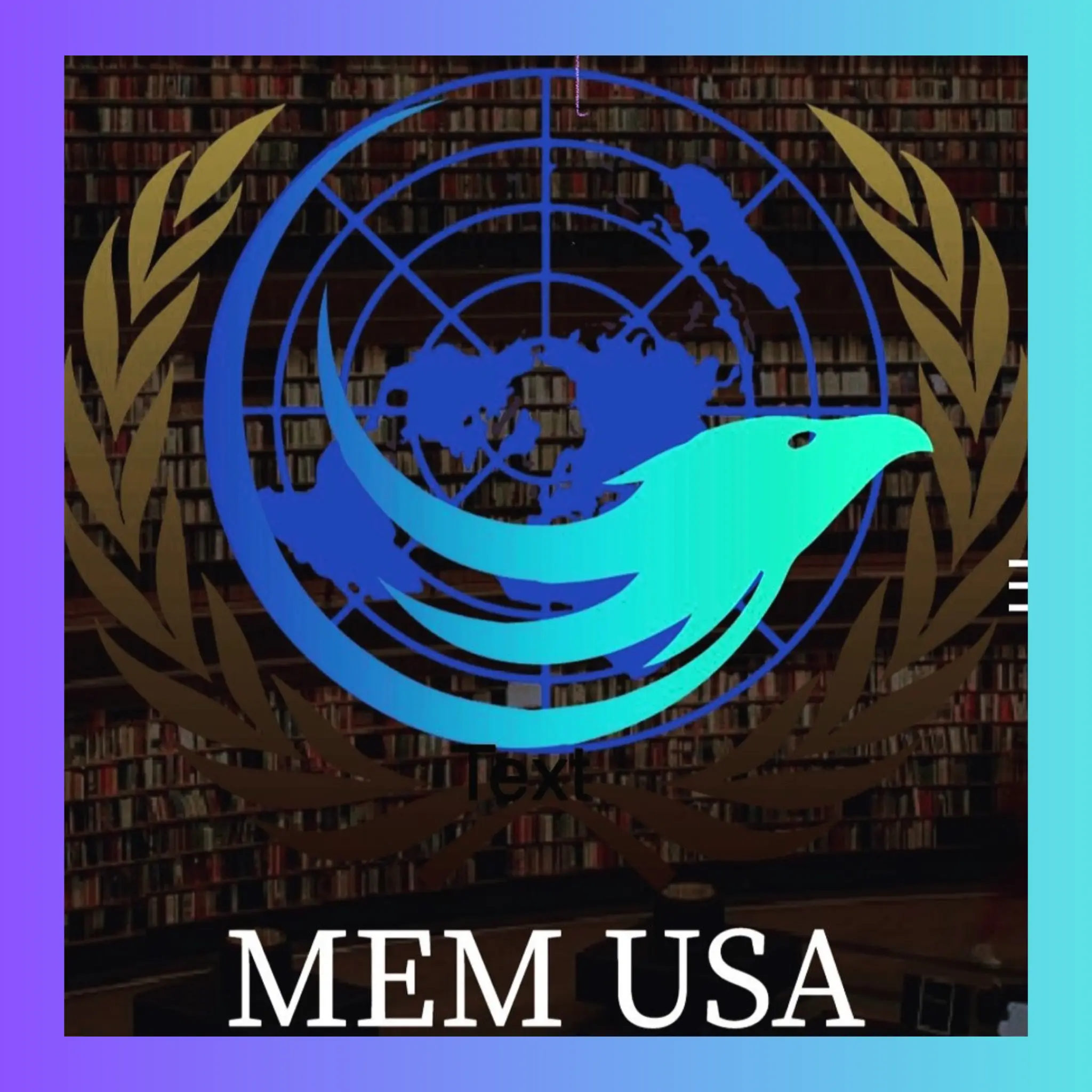 MEM USA Academy